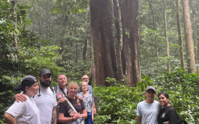 Cuc phuong national park